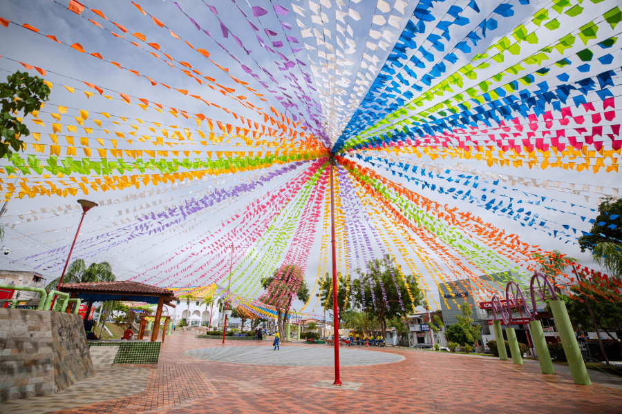 Tony Salles e Xanddy Harmonia estão entre as atrações do Pedrão de Lauro